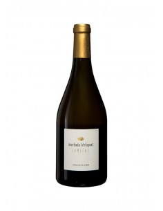 Lumière Magnum 2018