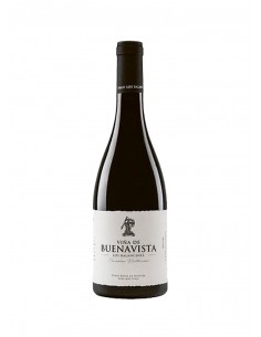 Viña de Buenavista 2018