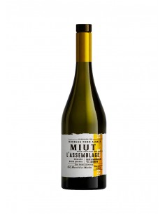 Miut L'Assemblage 2021