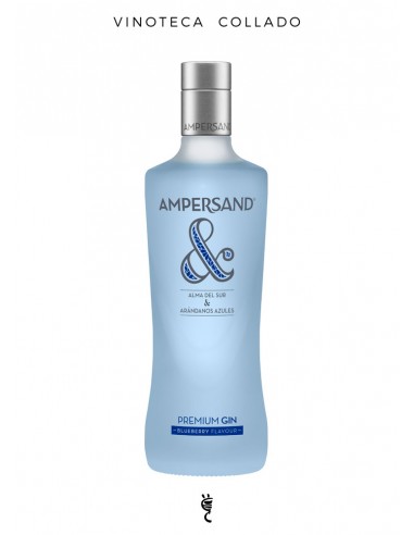 Ginebra Ampersand Arándanos