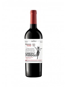 Camino a Pardos 40 2022