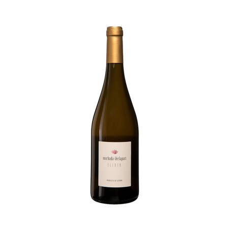 Comprar vino blanco sobre lías Elixir 2022 Vino sin I.G.