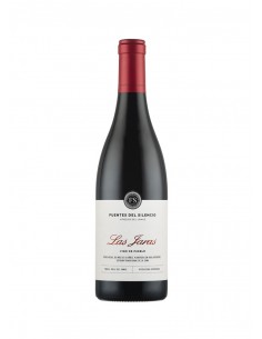 Fuentes del Silencio Las...