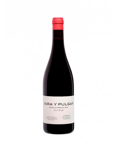 Vara y Pulgar Tinto 2022