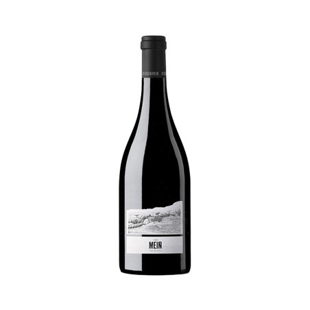 Comprar vino tinto con crianza O Gran Meín Tinto 2021 D.O. Ribeiro