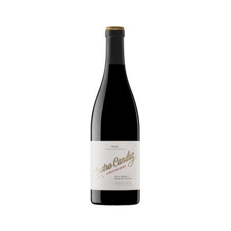 Comprar vino tinto con crianza Castro Candaz A Boca do Demo 2020 D.O. Ribeira Sacra