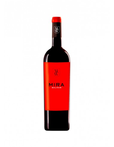 Mira Salinas 2015