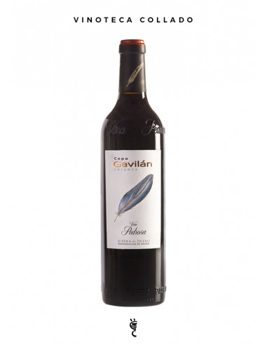 Cepa Gavilán Crianza 2022