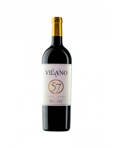 Vilano 57 2021