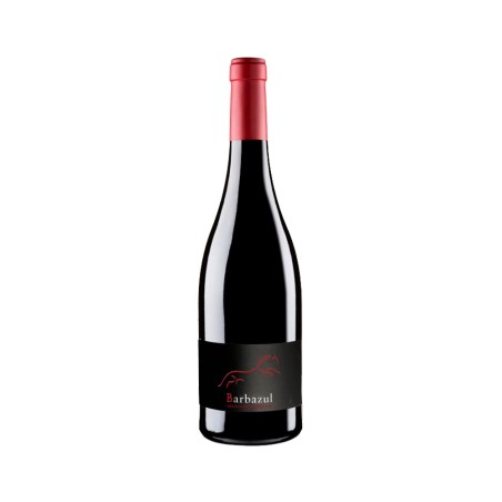 Comprar vino tinto con crianza Barbazul Selección 2020 VT. Cádiz