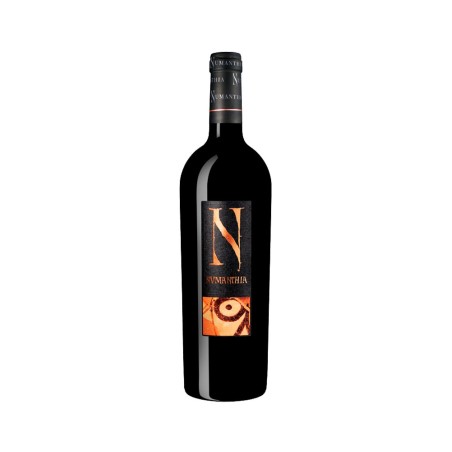 Comprar vino tinto con crianza Numanthia 2019 D.O. Toro
