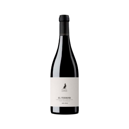 Domaines Lupier El Terroir 2019, Raúl Pérez
