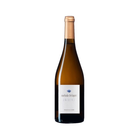 Comprar vino blanco sobre lías Univers 2023 Vino sin I.G.