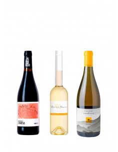 Selección Boquerón