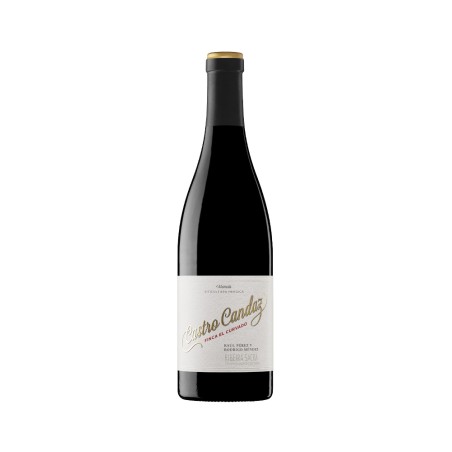 Castro Candaz Finca El Curvado 2021, Raúl Pérez