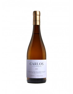 Carlos Villanueva Godello 2024