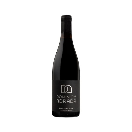 Comprar vino tinto con crianza Dominio de Adrada 2022 D.O. Ribera del Duero