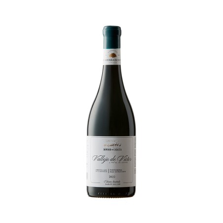 Comprar vino tinto con crianza Dominio de Casalta Vallejo de Víctor Baja Extracción 2022 D.O. Almansa
