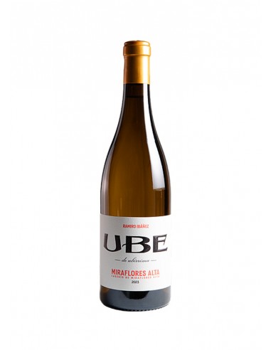 UBE Caserío de Miraflores Alta 2024