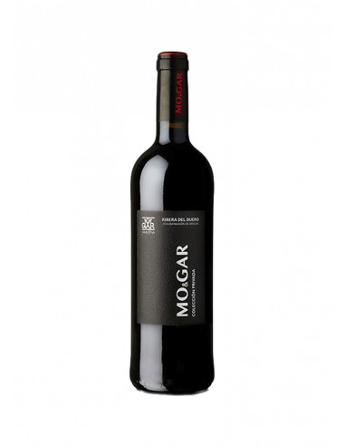 Mo&Gar Colección Privada 2019