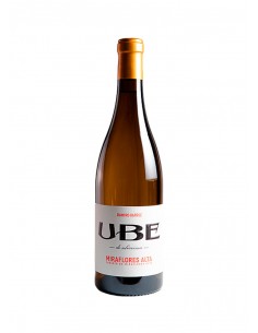 UBE Caserío de Miraflores...