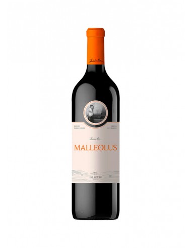 Malleolus 2022