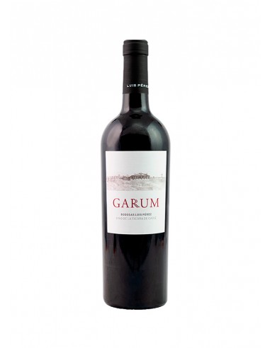Garum 2023