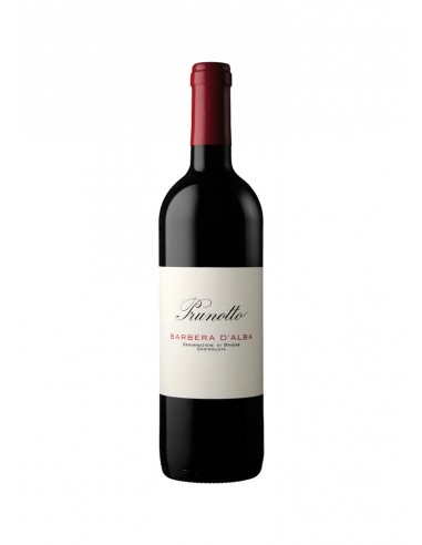 Barbera D'Alba DOC Prunotto 2024