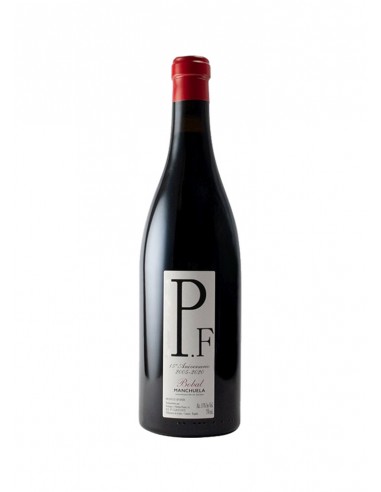 Ponce P.F. 2024