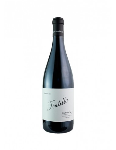 Tintilla Carrascal 2023