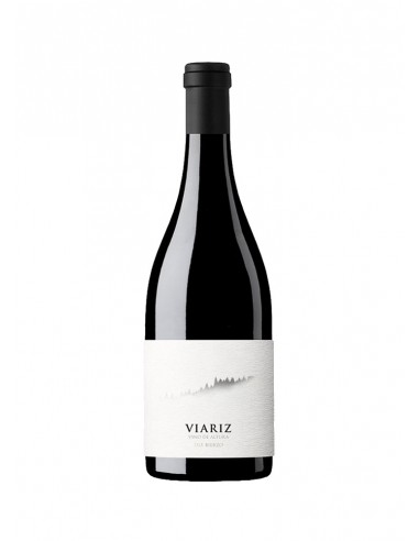 Viariz 2022
