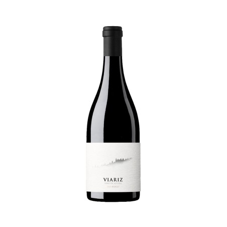 Comprar vino tinto con crianza Viariz 2022 D.O. Bierzo