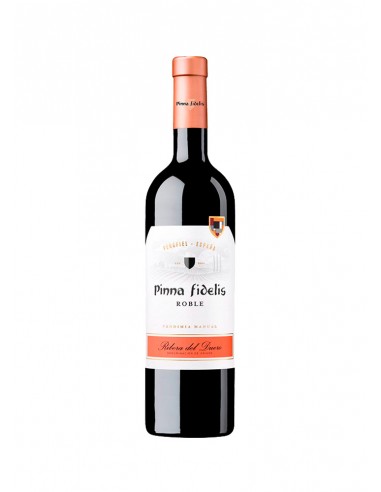 Pinna Fidelis Roble 2023