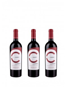 Selección Vertical Dominio...