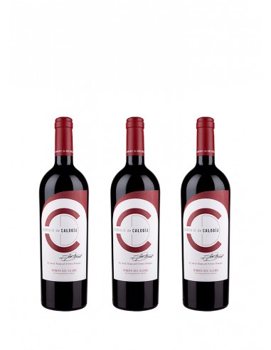 Selección Dominio de Calogía Vertical