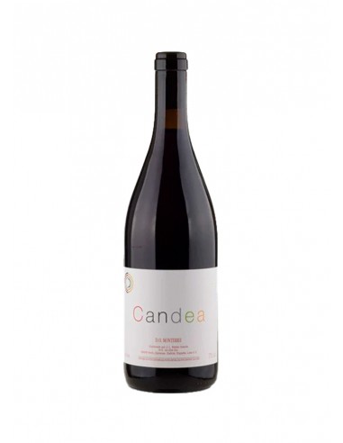 Candea Tinto 2022