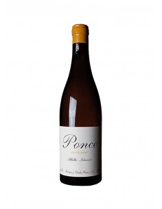 Ponce Albilla Selección 2024