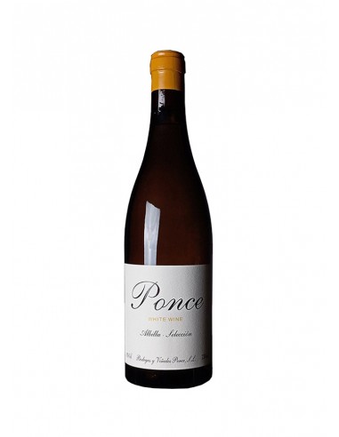 Ponce Albilla Selección 2024