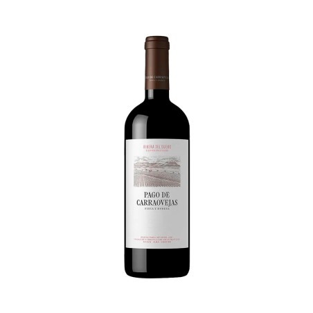 Comprar vino tinto con crianza Pago de Carraovejas Magnum 2022 D.O. Ribera del Duero