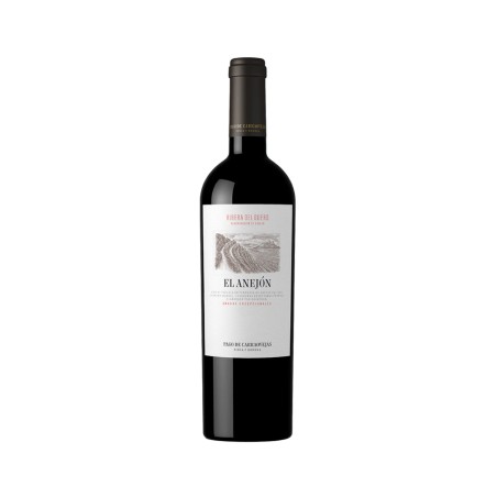 Comprar vino tinto con crianza El Anejón Magnum 2021 D.O. Ribera del Duero