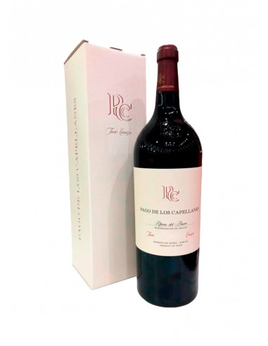 Pago de los Capellanes Crianza Magnum...