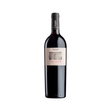 Comprar vino tinto con crianza Colonia 40 2024 Vino sin I.G.