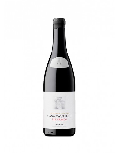 Casa Castillo Pie Franco 2023