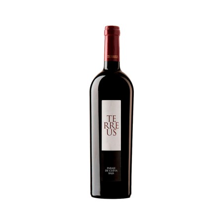 Comprar vino tinto con crianza Terreus 2023 VT. Castilla y León