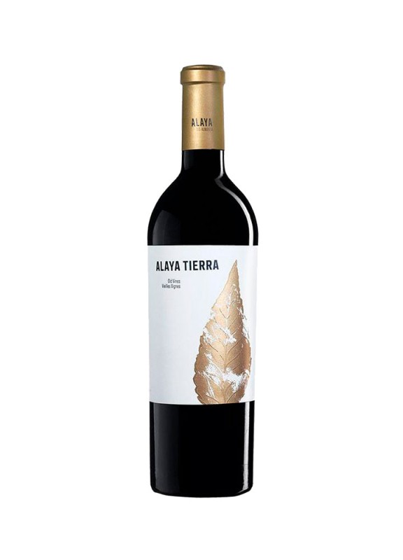 Comprar vino tinto con crianza Alaya Tierra 2023 D.O. Almansa