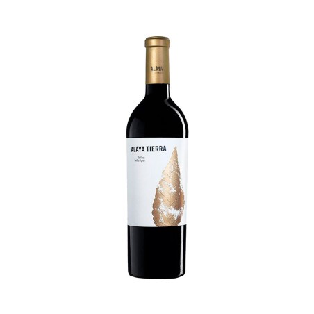 Comprar vino tinto con crianza Alaya Tierra 2023 D.O. Almansa