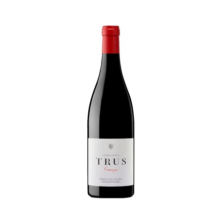 Comprar vino tinto crianza Trus Crianza 2022 D.O. Ribera del Duero