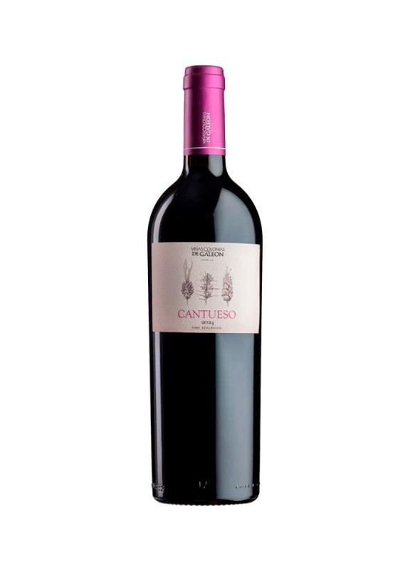 Comprar vino tinto con crianza Cantueso 2024 Vino sin I.G.