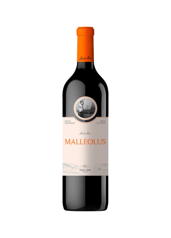 Comprar vino tinto con crianza Malleolus 2023 D.O. Ribera del Duero
