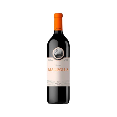 Comprar vino tinto con crianza Malleolus 2023 D.O. Ribera del Duero